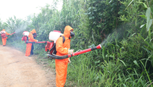 Yunnan aids Laos in pests control