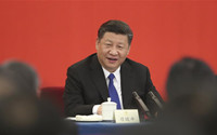 China's party system is great contribution to political civilization: Xi