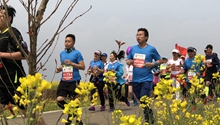 Joy of run: Rock ‘n’ Roll Marathon held in rapeseed flowers in Luoping