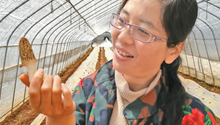 [China story] Milk girl becomes big grower