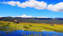 Yunnan achieves balance between development and eco-protection