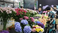 International flower show opens in Yunnan