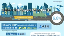 China's GDP grows 6.8 pct in H1