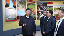 Xi stresses building pilot FTZs toward new heights of reform, opening-up