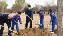 Xi stresses wide participation in promoting afforestation