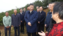 Xi inspects poverty alleviation work in central China