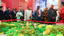 Foreign diplomats visit grand exhibition of achievements in commemoration of 70t