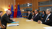 Chinese FM calls on EU, China to jointly safeguard multilateralism, internationa