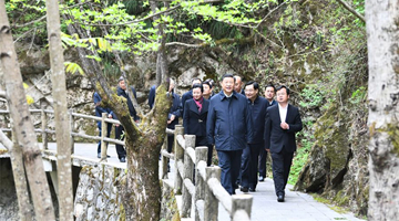 Xi inspects northwest China's Shaanxi Province