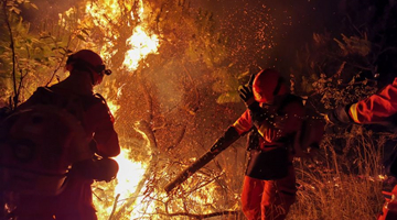 Over 1,600 battling forest fire in China's Yunnan