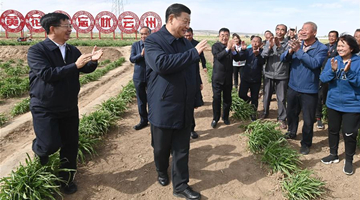 Xi stresses achieving moderately prosperous society in all respects