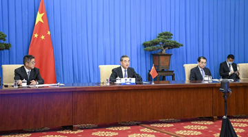 Chinese state councilor attends video meeting of SCO FMs