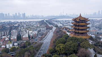 Wuhan lockdown, a game-changing decision in China's fight against COVID-19