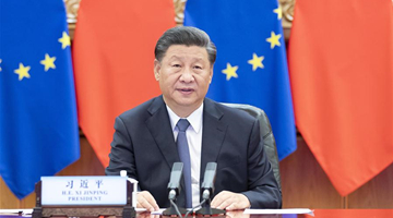 Xi co-hosts China-Germany-EU leaders' meeting via video link