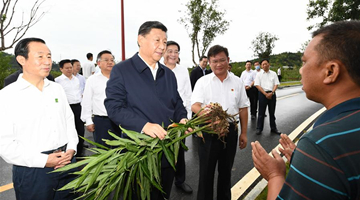 Xi inspects central China's Hunan Province