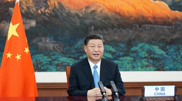 Xi charts course for world to meet challenges amid COVID-19