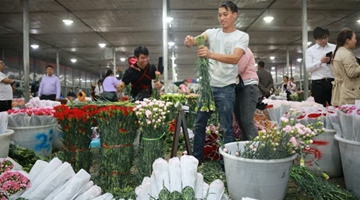 Yunnan develops street market into wind vane of flower buisness