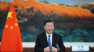 Xi's statements at UN meetings demonstrate China's global vision, firm commitmen