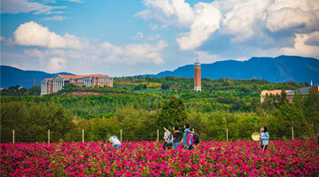 Kunming prepares to host biodiversity conference