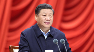 Xi asks young officials to focus on solving practical problems