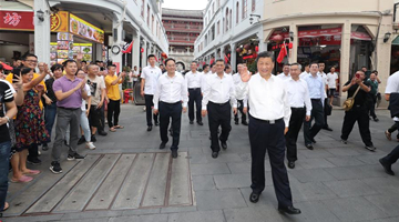 Xi inspects southern China's Guangdong Province