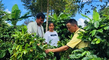 Starbucks extends support to coffee farmers in Yunnan