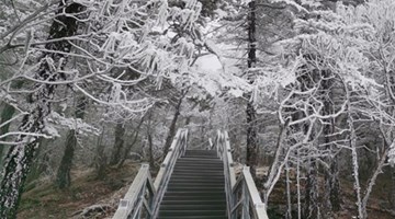 Jiaozi Snow Mountain in Kunming welcomes first snow of 2021