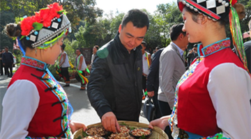 Yunnan vows to further develop its roles as opening-up deepens