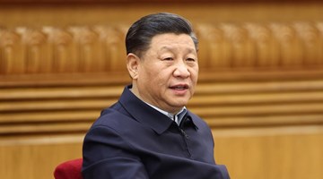 Xi stresses advancing Beijing 2022 preparation with perfection