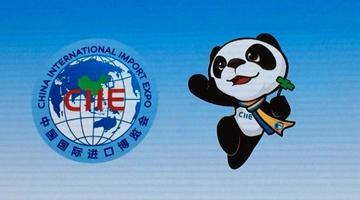 CIIE key way to strengthen economic cooperation