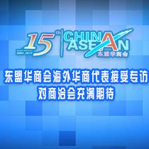 东盟华商会海外华商代表接受专访 对商洽会充满期待