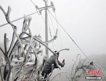 粤鄂开启“速冻”模式