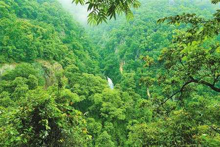 再访中国第一个农民生物多样性保护协会
