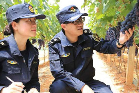 云南提升检验检疫能力融入辐射中心建设