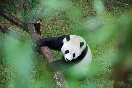 一周看天下