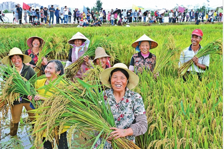 云岭欢庆中国农民丰收节