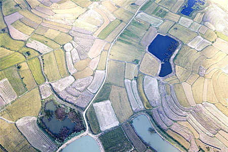 “中国农村改革第一村”40年变迁的改革启示
