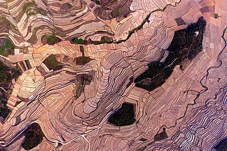 治理“地球癌症”10年，这里再现发展生机