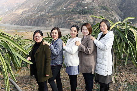 云南东川：脱贫攻坚中的“五朵金花”