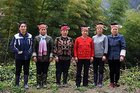 【中国故事】六名苗乡妇女的增收梦