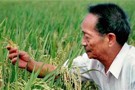 亿万人民的奋斗史诗——献给共和国70年光辉历史的创造者