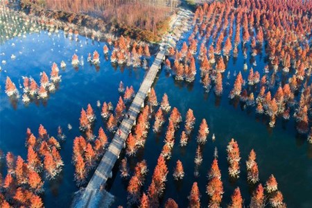 美丽家园 生态中国
