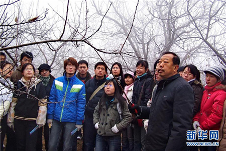 他们，习近平在指示批示中高度评价