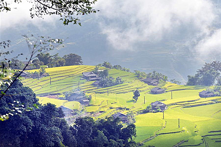 越南黄树腓梯田美景