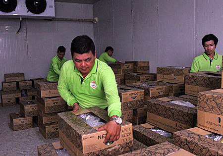 柬埔寨新鲜水果正式打开中国市场大门<BR>首批100吨香蕉将从西港直达上海