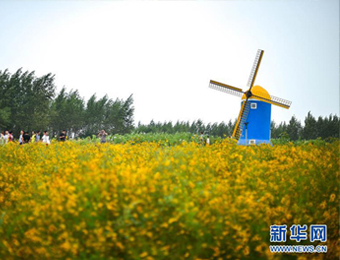 吉林：“农业+旅游”助力乡村致富增收