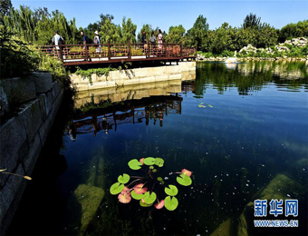 圆明园廓然大公景区水生态修复工程完工