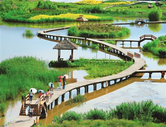 中国扩大湿地保护