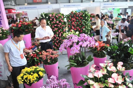 第十八届中国昆明国际花卉展开幕