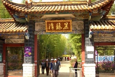 昆明黑龙潭公园打造“仲夏花园”